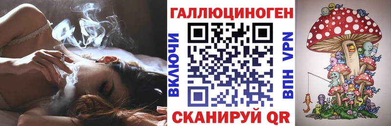купить наркоту  Дно  Галлюциногенные грибы Magic Shrooms 